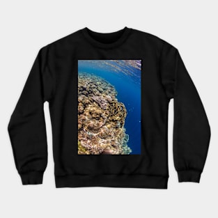 Drop off Crewneck Sweatshirt